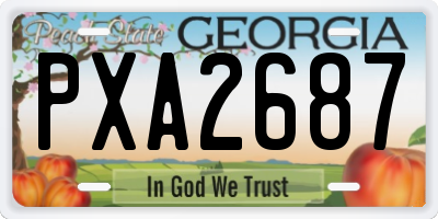 GA license plate PXA2687