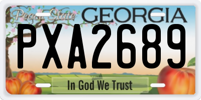 GA license plate PXA2689