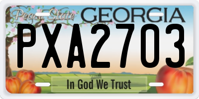 GA license plate PXA2703