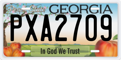 GA license plate PXA2709