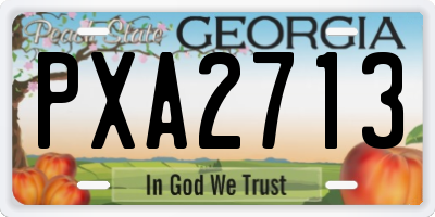 GA license plate PXA2713