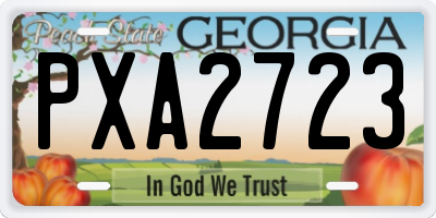 GA license plate PXA2723
