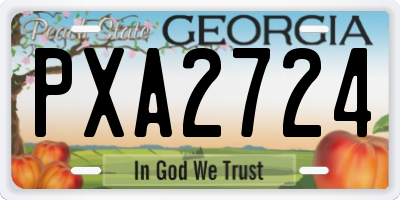 GA license plate PXA2724
