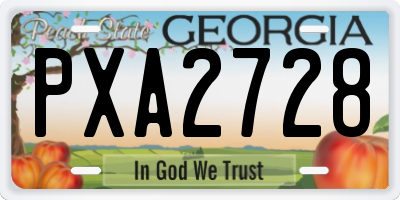 GA license plate PXA2728