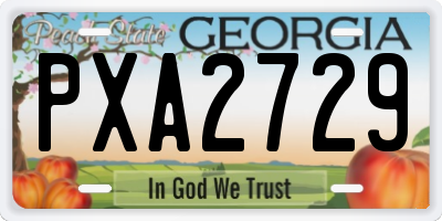 GA license plate PXA2729