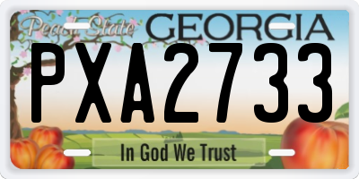 GA license plate PXA2733