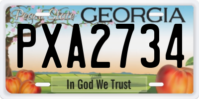 GA license plate PXA2734