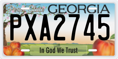 GA license plate PXA2745