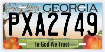 GA license plate PXA2749