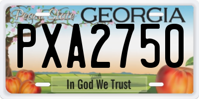 GA license plate PXA2750