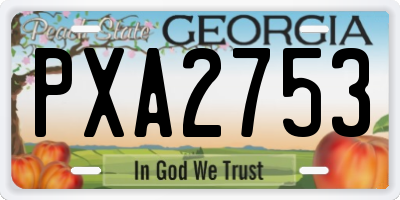 GA license plate PXA2753