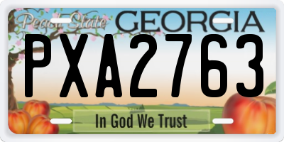 GA license plate PXA2763