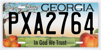 GA license plate PXA2764
