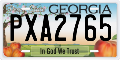 GA license plate PXA2765