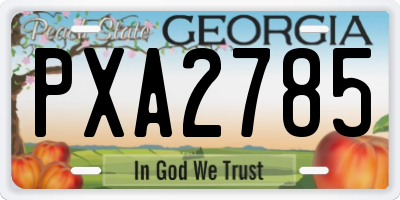 GA license plate PXA2785