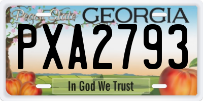 GA license plate PXA2793