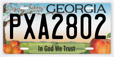 GA license plate PXA2802