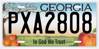 GA license plate PXA2808