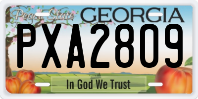 GA license plate PXA2809