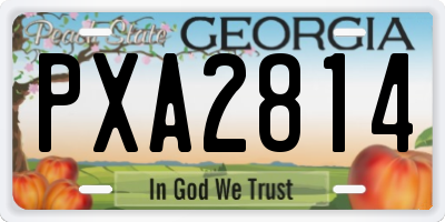 GA license plate PXA2814