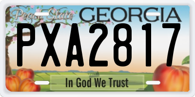 GA license plate PXA2817