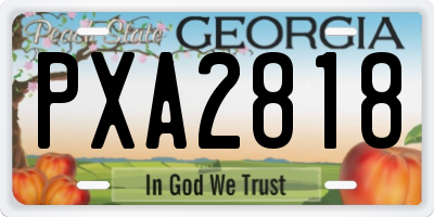 GA license plate PXA2818