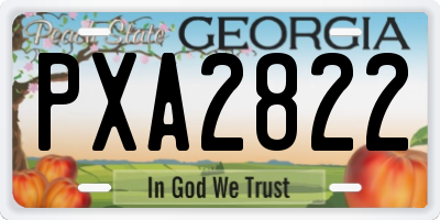 GA license plate PXA2822