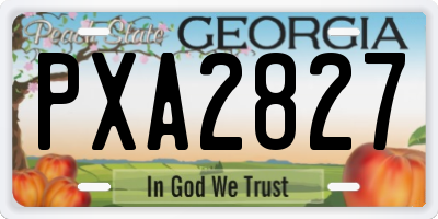 GA license plate PXA2827