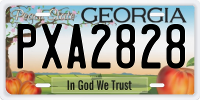 GA license plate PXA2828