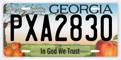 GA license plate PXA2830