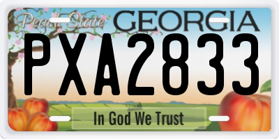 GA license plate PXA2833