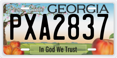 GA license plate PXA2837