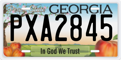 GA license plate PXA2845