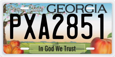 GA license plate PXA2851