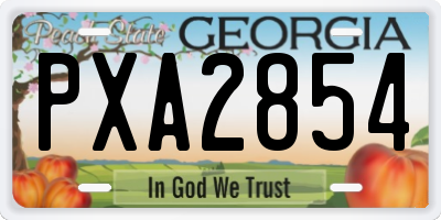 GA license plate PXA2854
