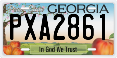 GA license plate PXA2861