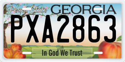 GA license plate PXA2863