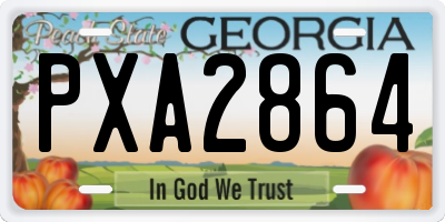 GA license plate PXA2864