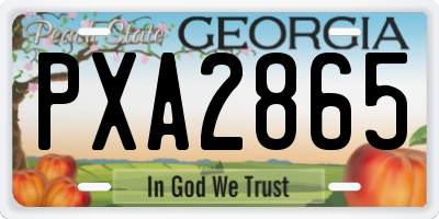 GA license plate PXA2865