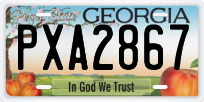 GA license plate PXA2867
