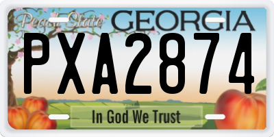GA license plate PXA2874