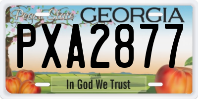 GA license plate PXA2877