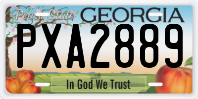 GA license plate PXA2889