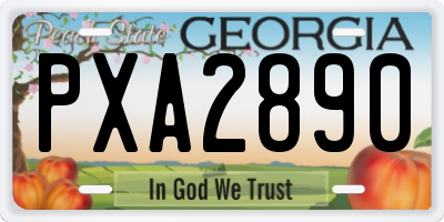 GA license plate PXA2890