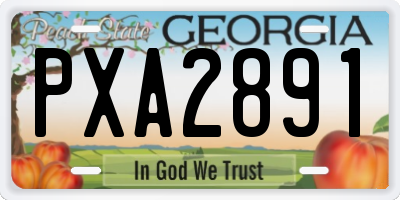 GA license plate PXA2891