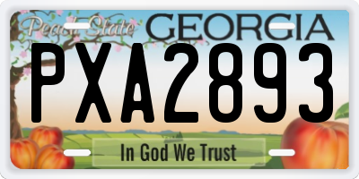 GA license plate PXA2893