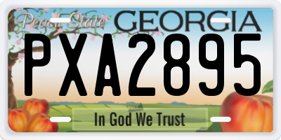 GA license plate PXA2895