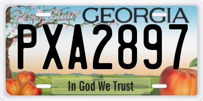 GA license plate PXA2897