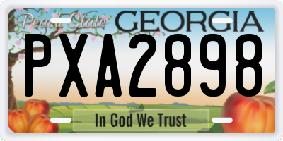 GA license plate PXA2898