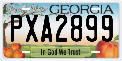 GA license plate PXA2899